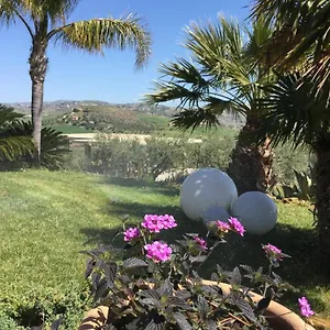Bed & Breakfast Il Colle Del Rustico